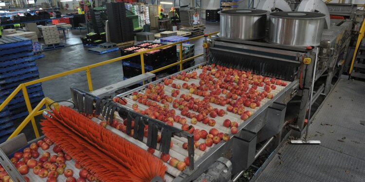 Lagos Govt. inaugurates two agro-processing centres in Ikorodu