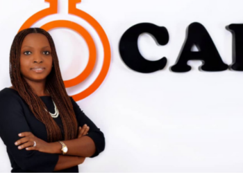 Chemical and Allied Products Plc reports N3.1 billion pre-tax profit for FY 2022