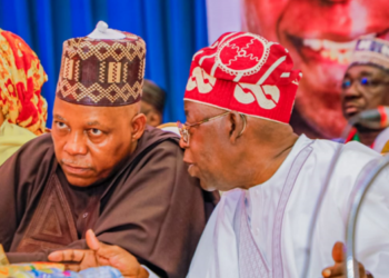 Kashim Shettima, Foreign Investments