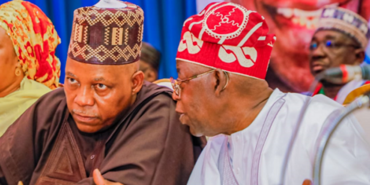 Kashim Shettima, Foreign Investments