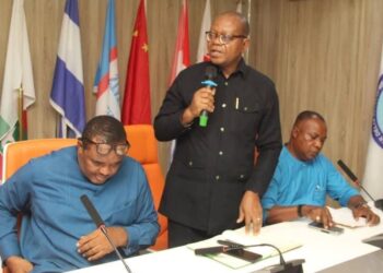 NDDC to create solar-based industrial clusters, unlock $2 billion carbon investments in Niger Delta