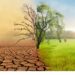 Agora Policy: Climate change poses grave risks to Nigeria, deserves greater attention