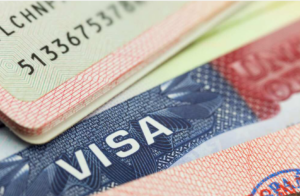 Japa: 5 countries offering work visas with proof of funds requirements