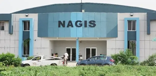 "NAGIS hits 91% of its N1 billion revenue target for 2023" – Sonny