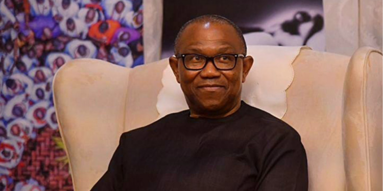 Peter Obi, Import duties