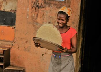 Nigeria to import 2.1 million metric tons of rice, become top buyer globally in 2024 – USDA 