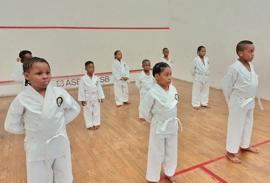 Best venues to teach your kids martial arts in Lagos - Nairametrics