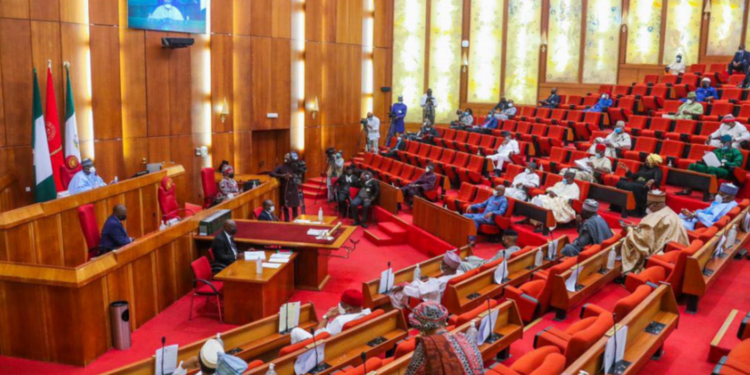 Senate, Kaduna state, Kaduna airstrike, Tudun Biri village