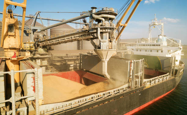 Russia begins free grain shipment to African countries