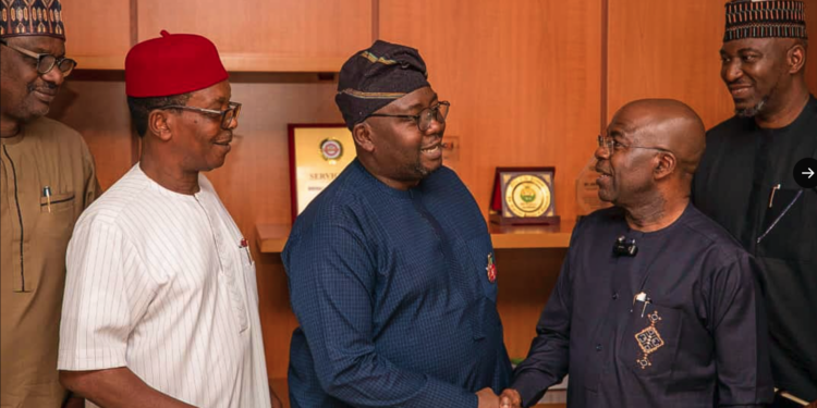 FG contemplates handing over stake in 11 DisCos to State Government