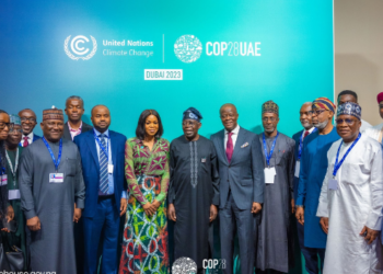 Nigeria’s GDP ranks lower than these 12 countries with less COP28 delegates  