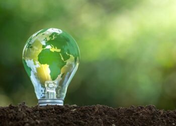 Green transition, technology to impact jobs and skills in 5 years- Future of Jobs Report 2023