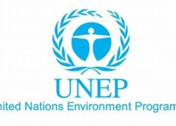 Investments in environmentally harmful activities hits $7 trillion annually- UNEP