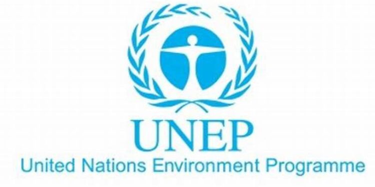 Investments in environmentally harmful activities hits $7 trillion annually- UNEP
