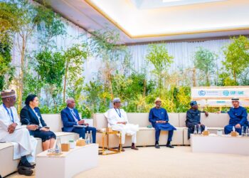 Analyst faults Presidency over “bloated” number of delegates at COP28 