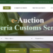 Everything you need to know about the Customs e-auction portal
