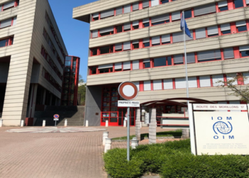 IOM partners with FG to repatriate 327 Nigerians from Libya 