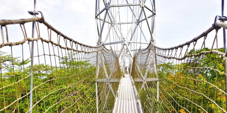 Lekki Conservation Centre