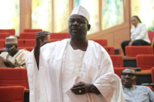 Tax reform: Ndume insists on withdrawal of controversial bills   