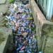 plastic wate blockage