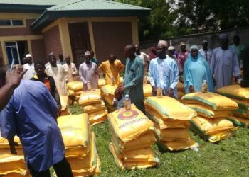 Harvest in Wushishi: From despair to abundance