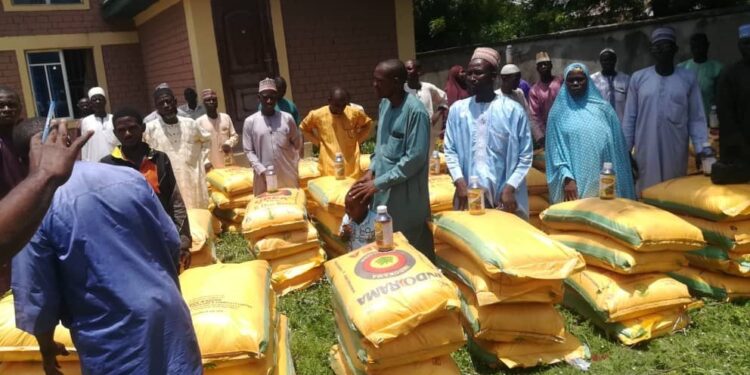 Harvest in Wushishi: From despair to abundance