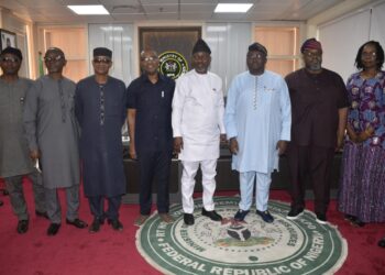 FG sets up interministerial committee to tackle low gas supply to power generation companies