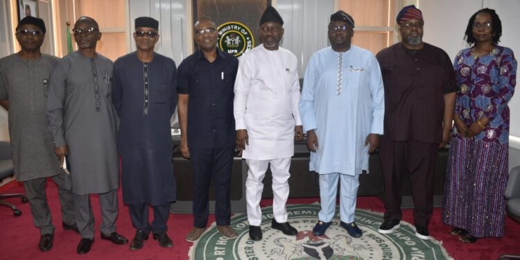 FG sets up interministerial committee to tackle low gas supply to power generation companies