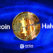 Bitcoin halving 2024: What to expect?