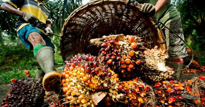 Nigeria, Malaysia to sign MoU over palm biomass industry