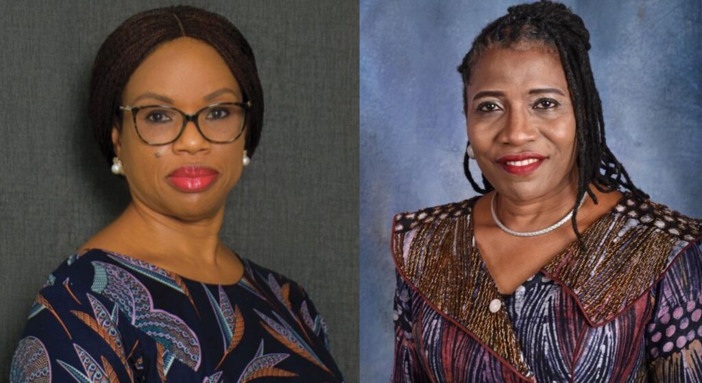 Industrial & Medical Gases Nigeria Plc appoints Olusola Oworu and Nekpen Opene-Odili as directors 
