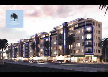 Navigating Nigeria’s real estate market in 2024: Strategies for success amid economic challenges