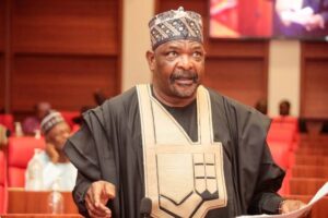 Xenophobia: Senator Ningi demands Nigeria cut ties with South Africa