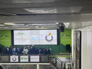 Meristem Values Transcorp Power at N305 per share, 27% higher than listed price
