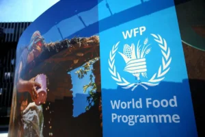WFP seeks $89 million as 17 million Nigerians face hunger crisis