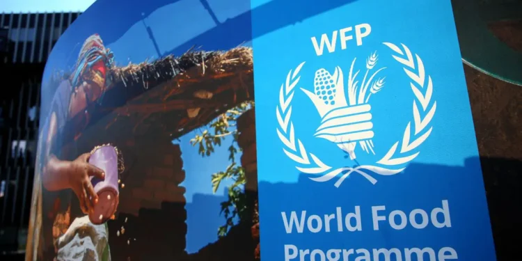 Grains donation from Ukraine to provide food assistance to 1.3 million Nigerians- WFP 