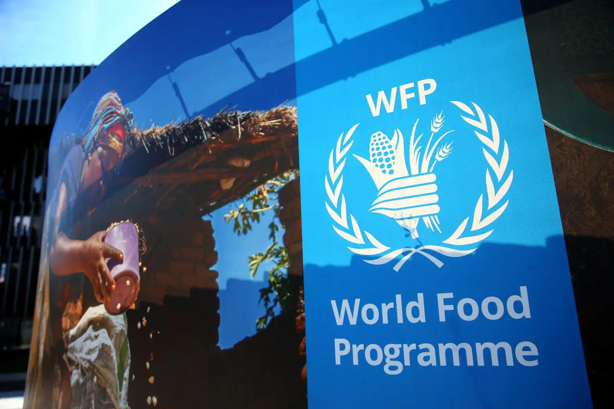 Grains donation from Ukraine to provide food assistance to 1.3 million Nigerians- WFP