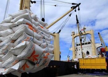 Expert lists non-oil export opportunities open for Nigerian businesses