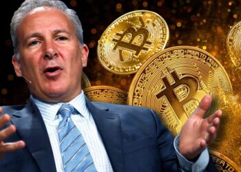 Bitcoin, Peter Schiff