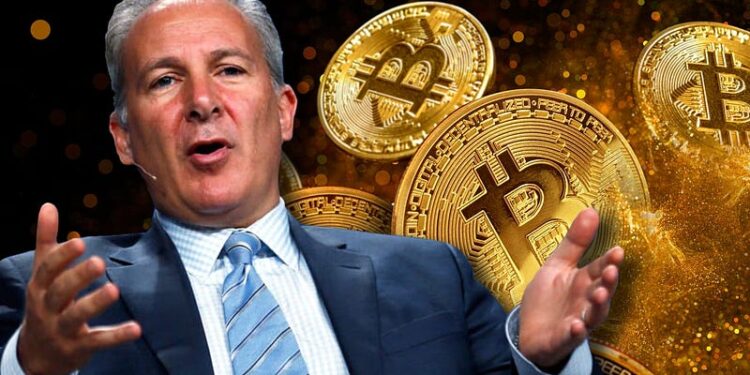 Bitcoin, Peter Schiff