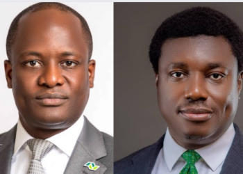 Temi Popoola and Nonso Okpala joins Board of CSCS Plc
