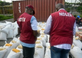 NDLEA