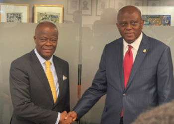 Forex Crisis: “We have transitioned from firefighting to strategic planning” – Cardoso