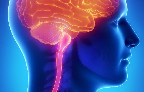 Cerebrospinal meningitis, Yobe state,