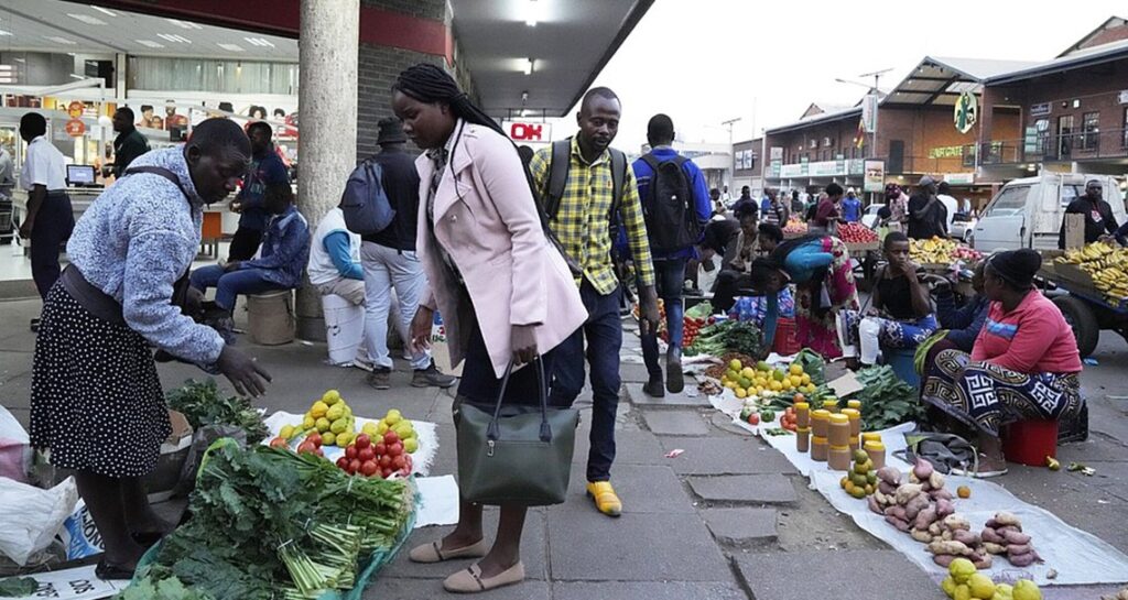 zimbabwe market view