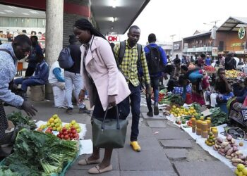 zimbabwe market view