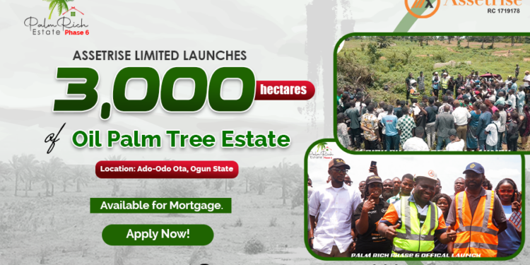 Assetrise Ltd unveils PalmRich Phase 6: 3,000-hectares oil palm plantation in Ogun State, Nigeria