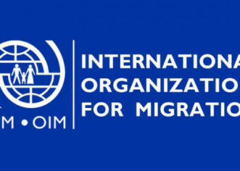 International remittances surge by 650% to $831 billion- IOM’s world migration report 2024 reveals