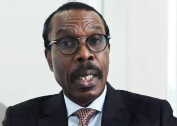 Bismarck Rewane, Telecom