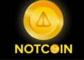 Top 5 most promising meme coins of 2024 alongside Notcoin